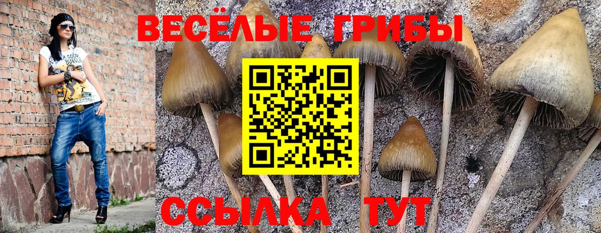 Псилоцибиновые грибы мухоморы Прокопьевск
