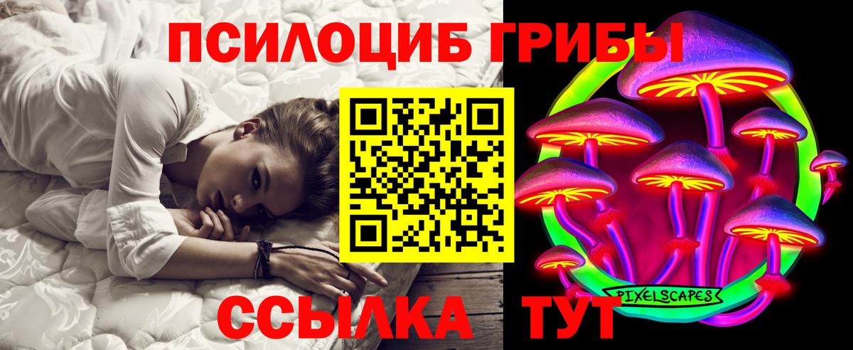 Прокопьевск  Псилоцибиновые грибы прущие грибы  Вход с VPN  Галлюциногенные грибы Magic Shrooms 